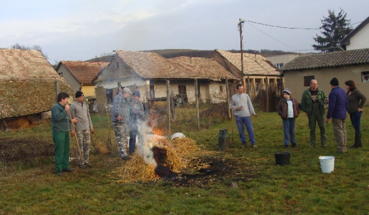 Palóc