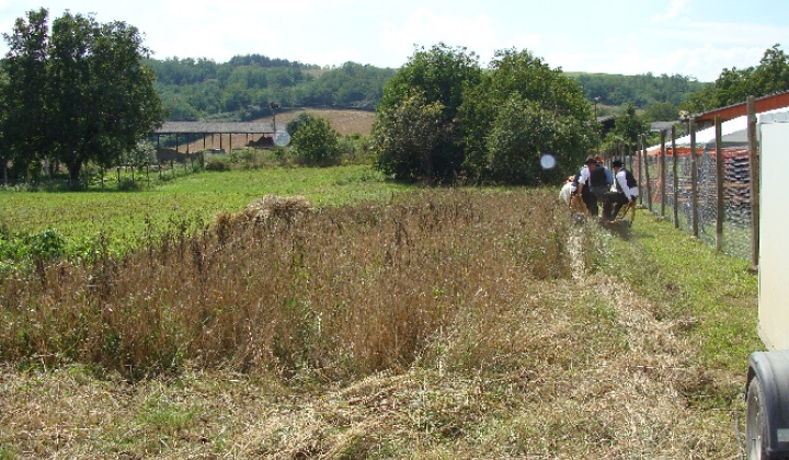 Od sejby po chlieb 9.8.2014